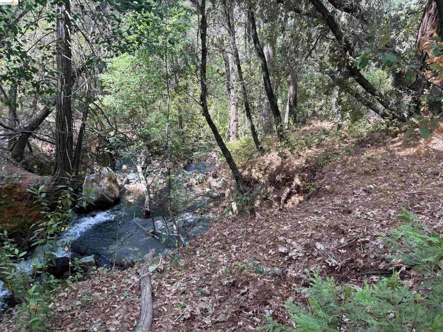 1440 Utica Powerhouse Rd, Murphys, CA 95247 - #2