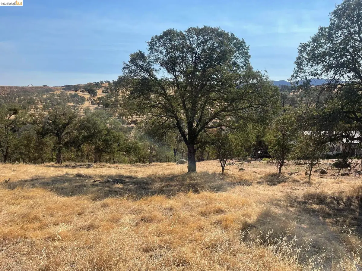6647 Cane Lane, Valley Springs, CA 95252 - #1