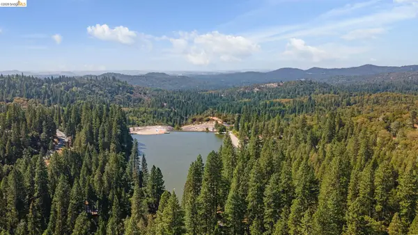 18826 LAUREL AVE, TWAIN HARTE, CA 95383