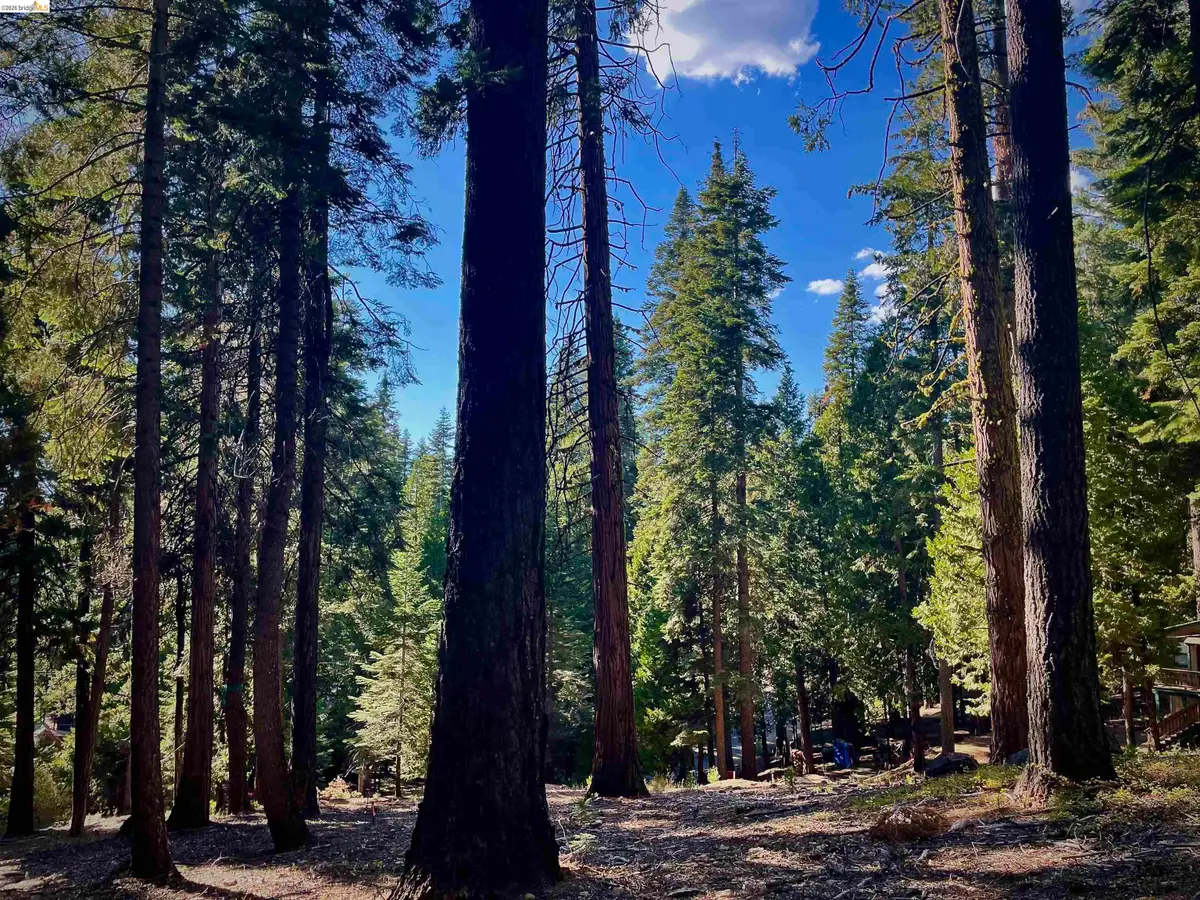 5125 Hokan Circle, Camp Connell, CA 95223 - #1