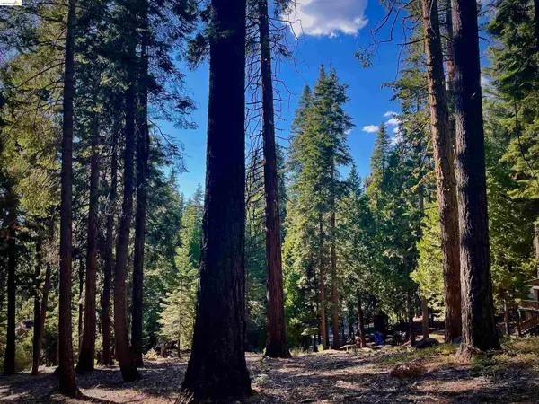 5125 Hokan Circle, Camp Connell, CA 95223