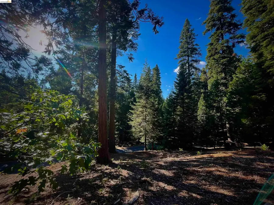 5125 Hokan Circle, Camp Connell, CA 95223 - #2