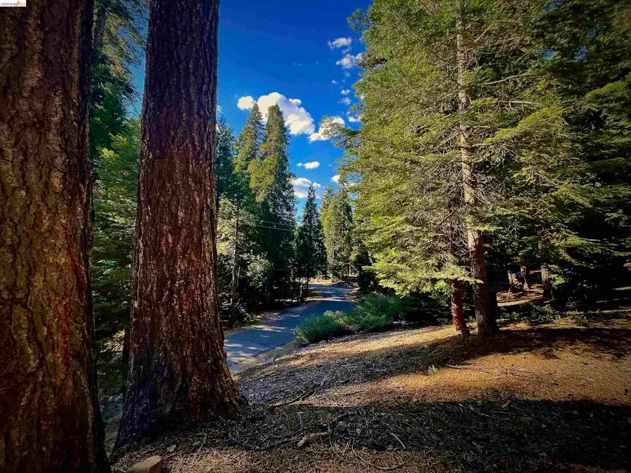 5125 Hokan Circle, Camp Connell, CA 95223 - #3
