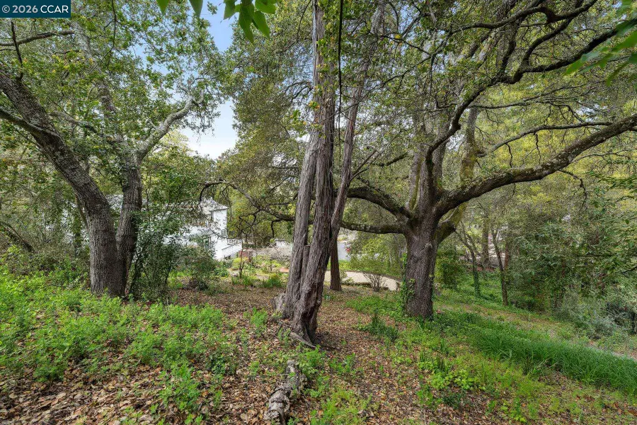4 El Sereno, Orinda, CA 94563 - #3