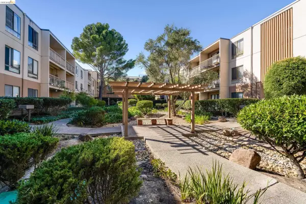 490 Civic Dr  #322, WALNUT CREEK, CA 94596