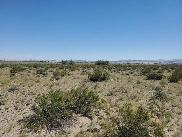 0 Autumn Leaf Road, Newberry Springs, CA 92365 - #1