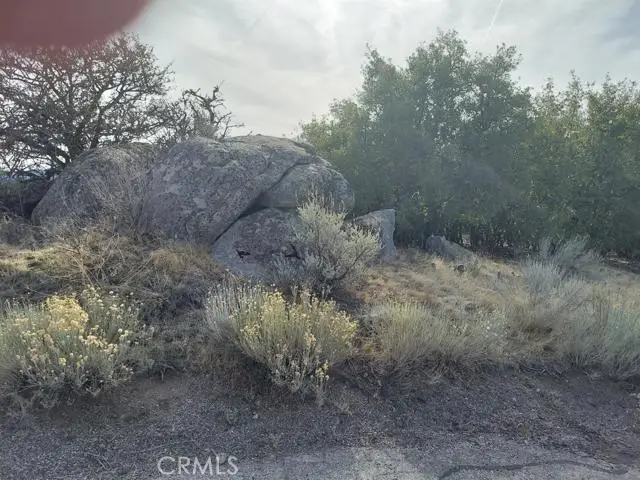 0 Amberwood Court, Tehachapi, CA 93561 - #2