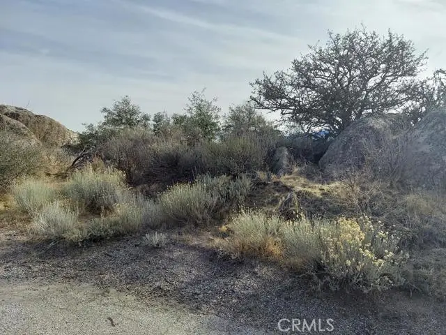 0 Amberwood Court, Tehachapi, CA 93561 - #3