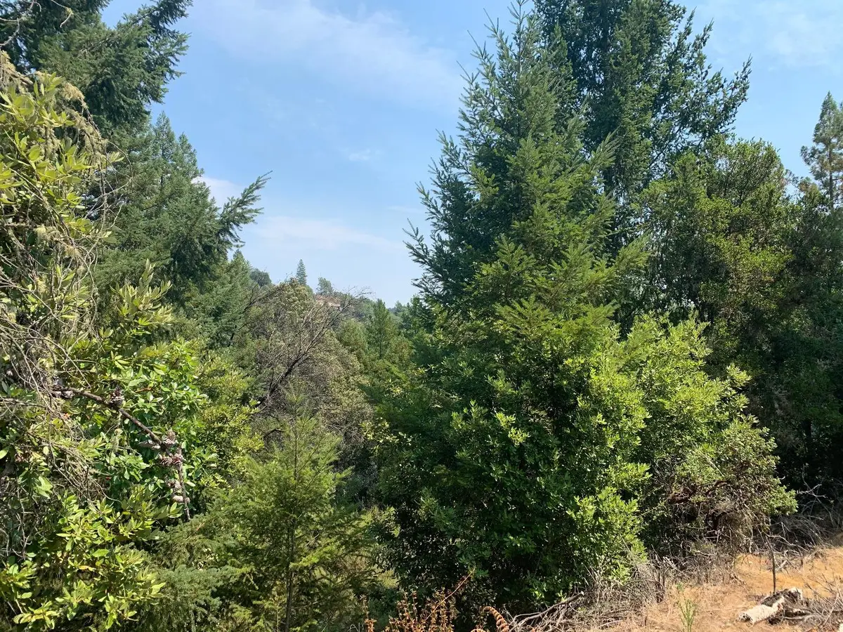 950 Middleton Drive, Boulder Creek, CA 95006 - #1