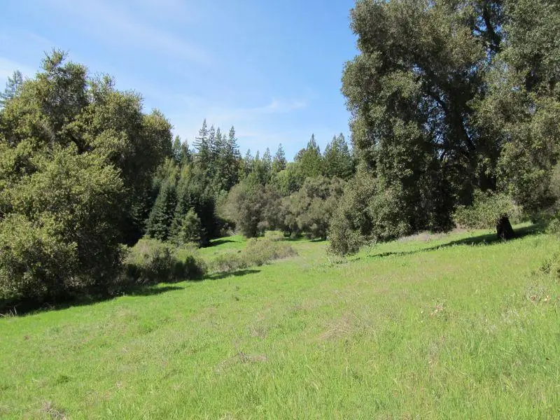 0 Two Bar Road, Boulder Creek, CA 95006 - #1