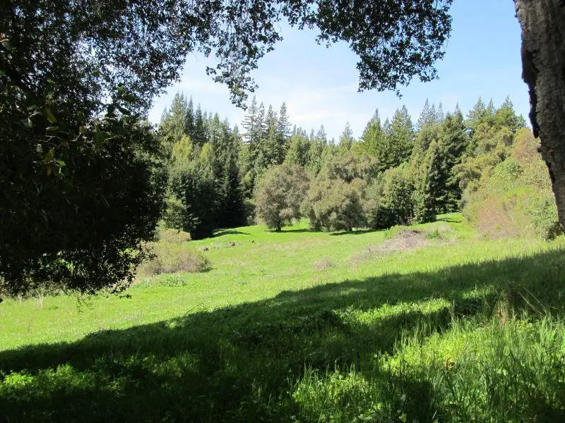 0 Two Bar Road, Boulder Creek, CA 95006 - #3