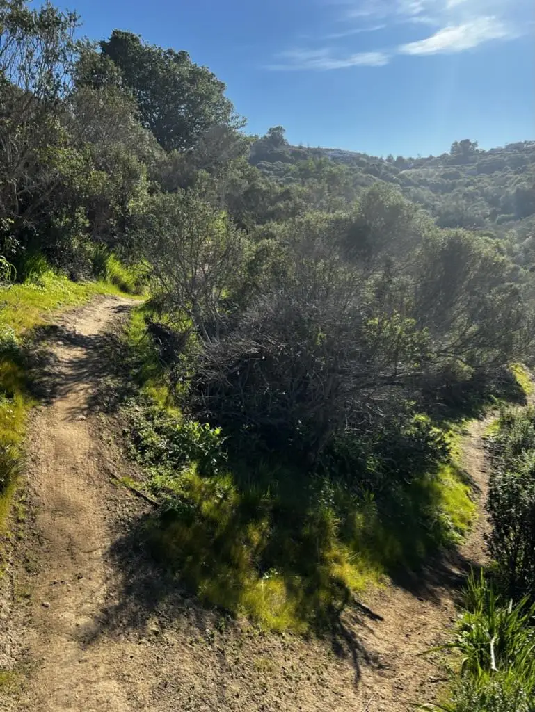 0000 Bartlett Way, Belmont, CA 94002 - #3