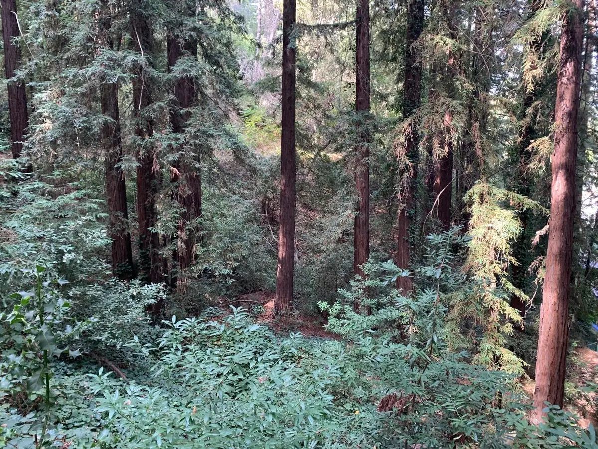 0 Helen Way, Los Gatos, CA 95033 - #1