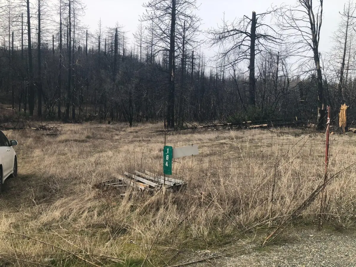 164 Graystone Lane, Berry Creek, CA 95916 - #1