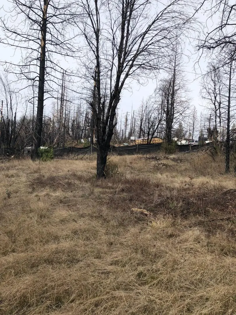 164 Graystone Lane, Berry Creek, CA 95916 - #2