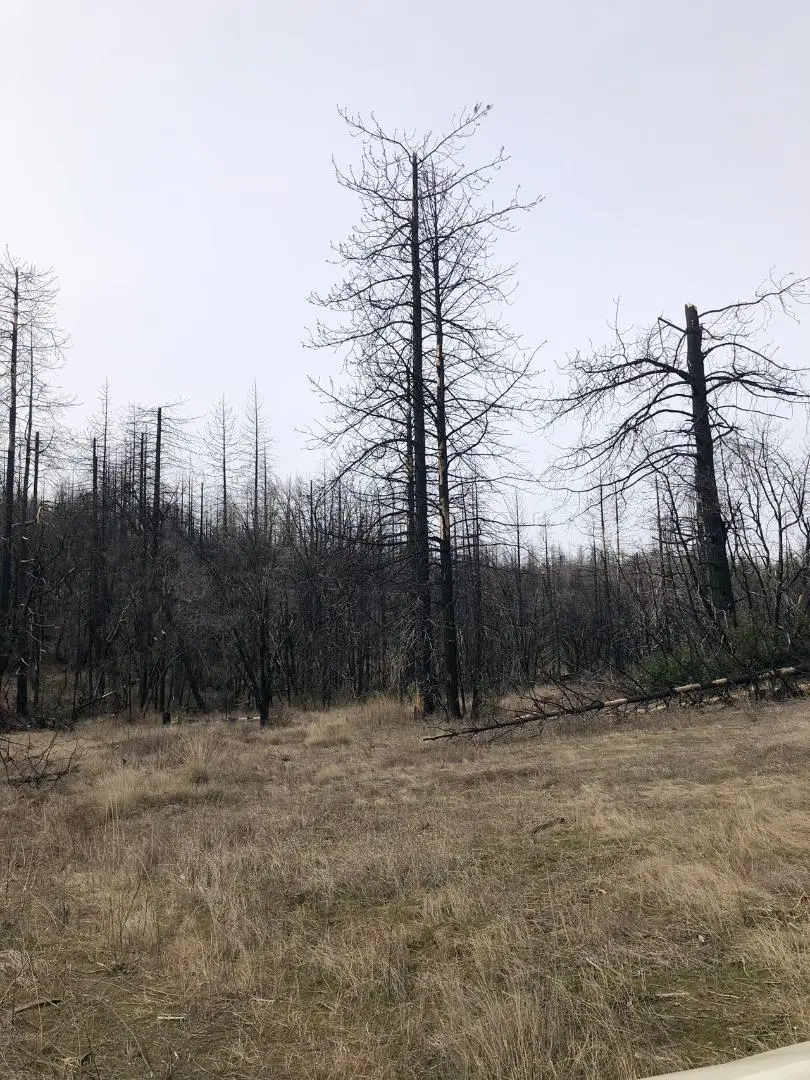 164 Graystone Lane, Berry Creek, CA 95916 - #3