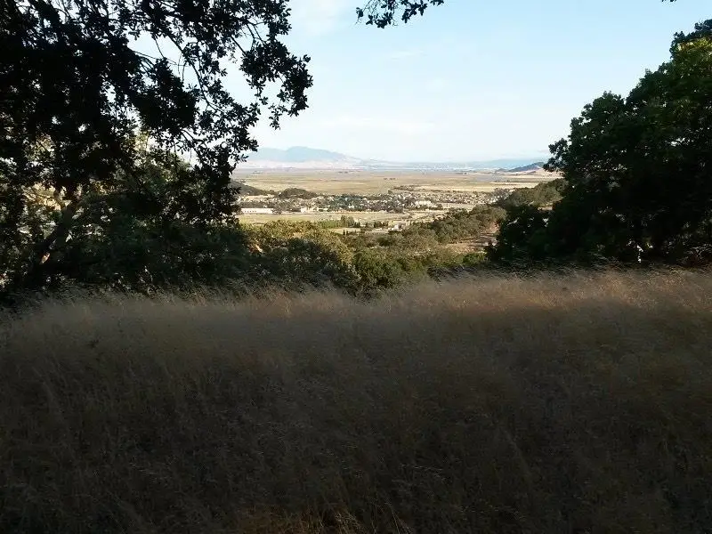 #2