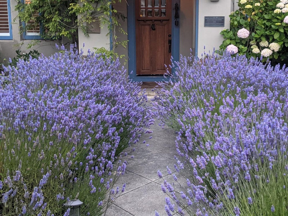 460 Poplar Street, HALF MOON BAY, CA 94019 BHGRE