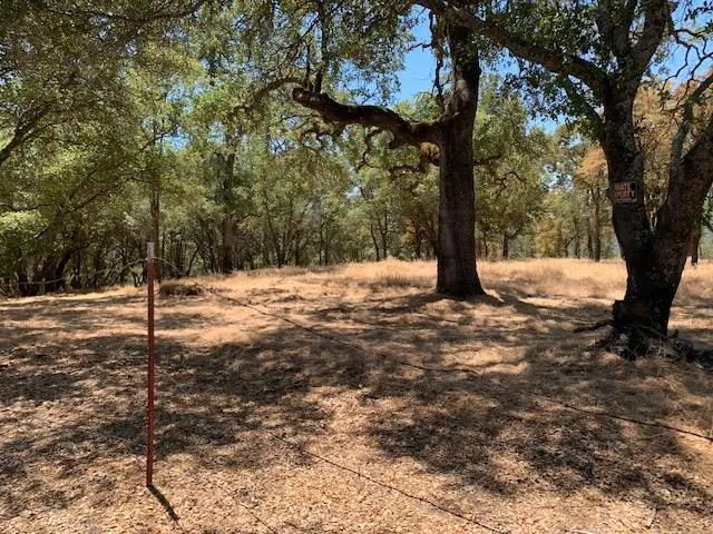 #3