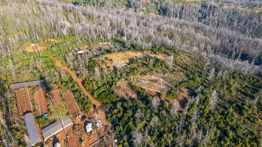 175 Bonnie Meadow Lane, Berry Creek, CA 95916 - Image #3