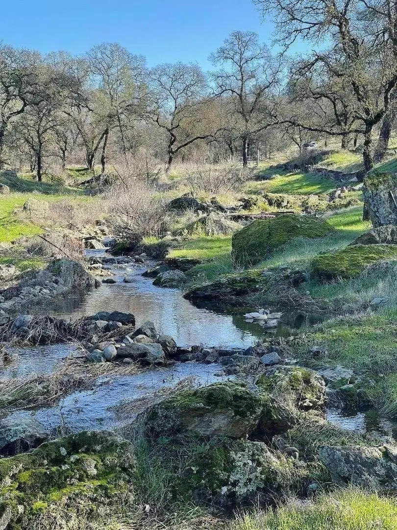 0 Avacado Road, Bangor, CA 95914 - Image #2