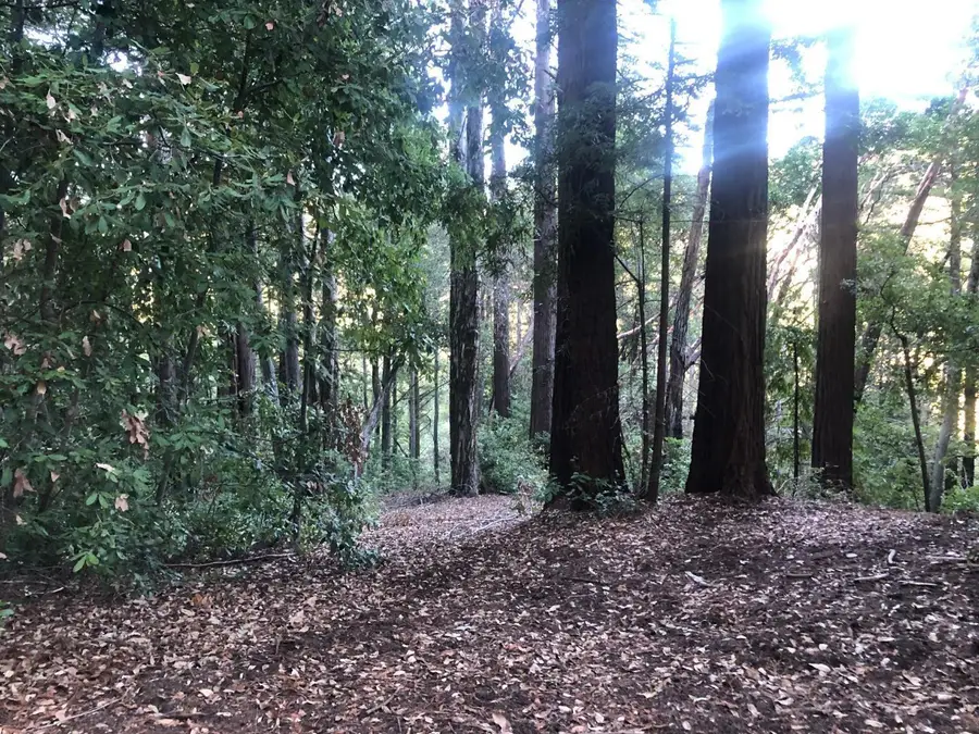 333 Western Avenue, Brookdale, CA 95007 - #2