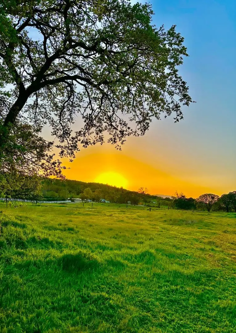 159 Albright Court, Angels Camp, CA 95222 - #1