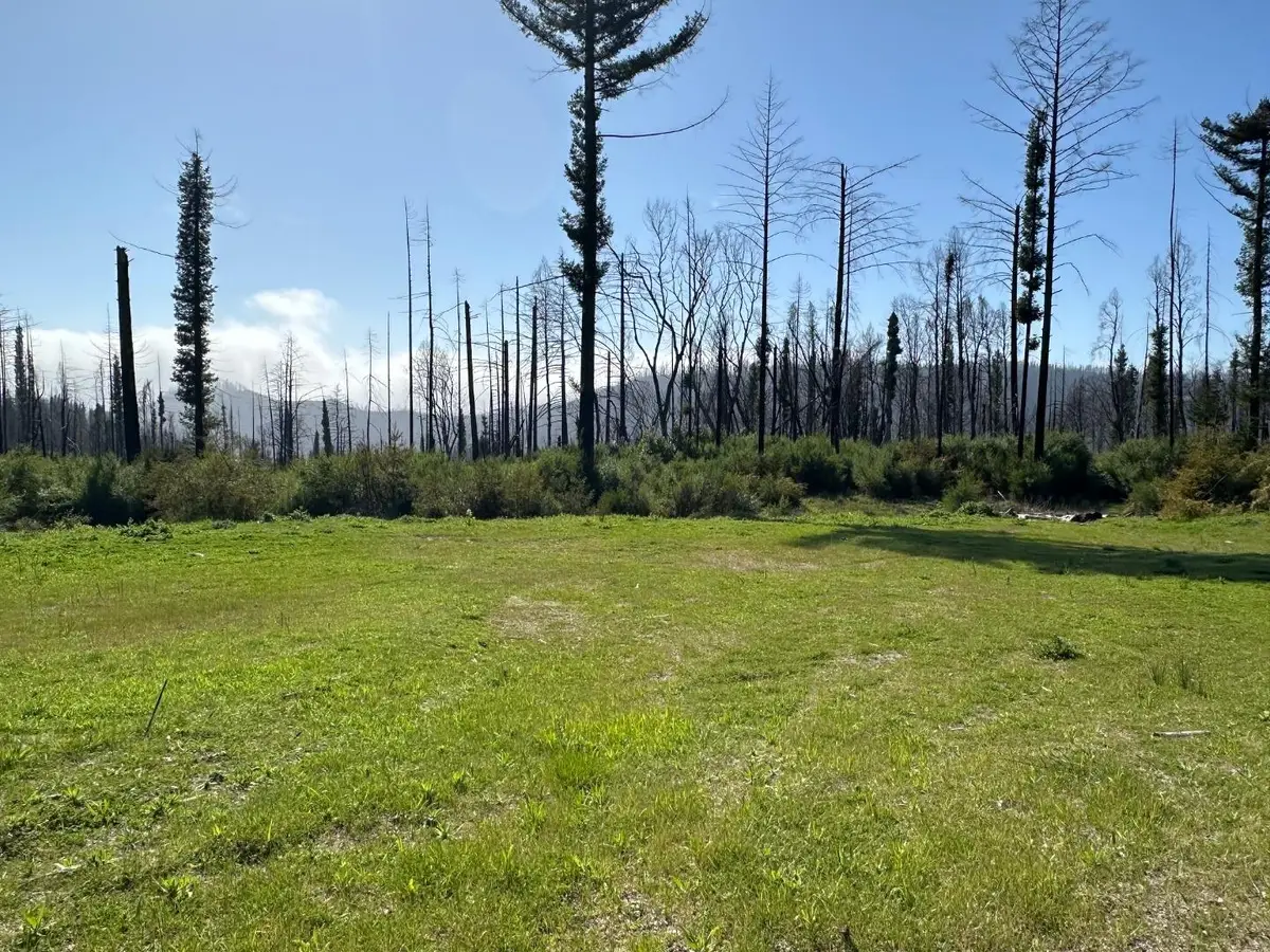 4605 Last Chance Road, Davenport, CA 95017 - #1