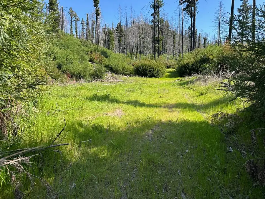 4605 Last Chance Road, Davenport, CA 95017 - #3