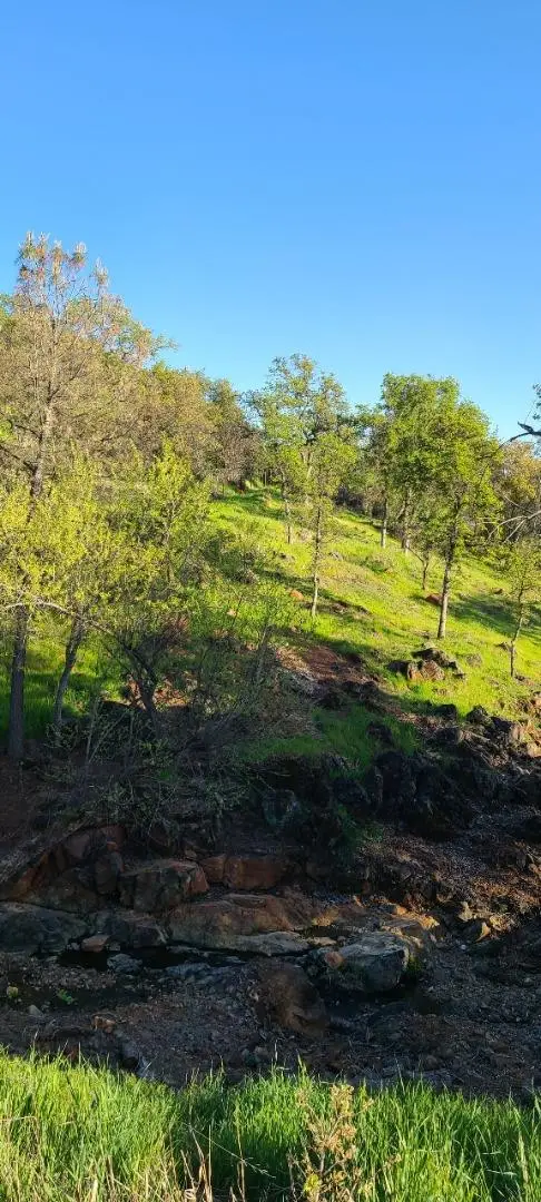 10470 Chicharra Court, Coulterville, CA 95311 - #2