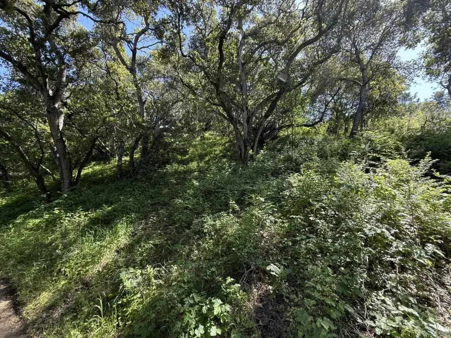 0 Bartlett Way, Belmont, CA 94002 - #2