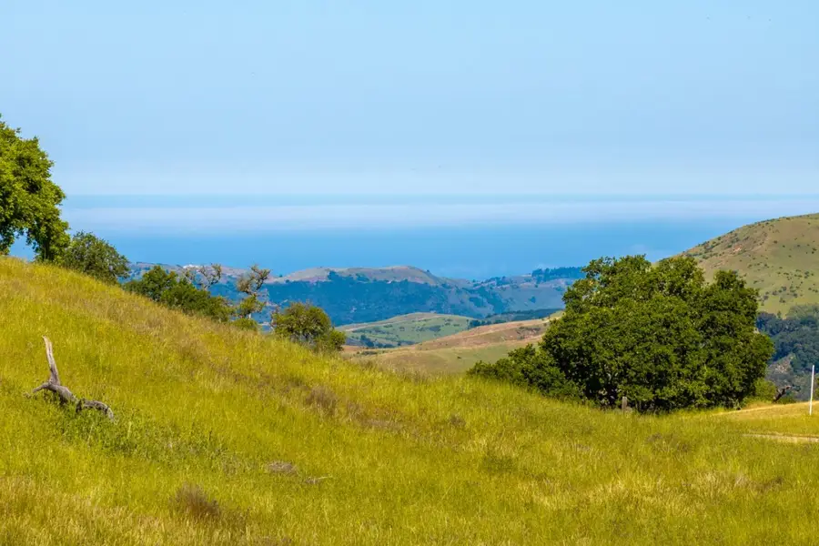 24 Vasquez Trail (Lot 254), Carmel, CA 93923 - #2