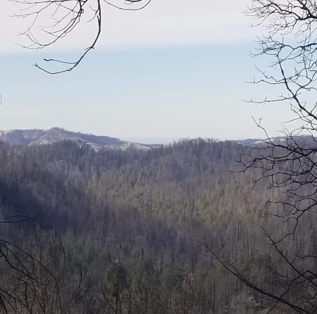 20604 Little Basin Road, Boulder Creek, CA 95006 - #1