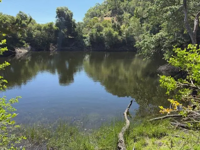 14056 Uvas Road, Morgan Hill, CA 95037 - #1