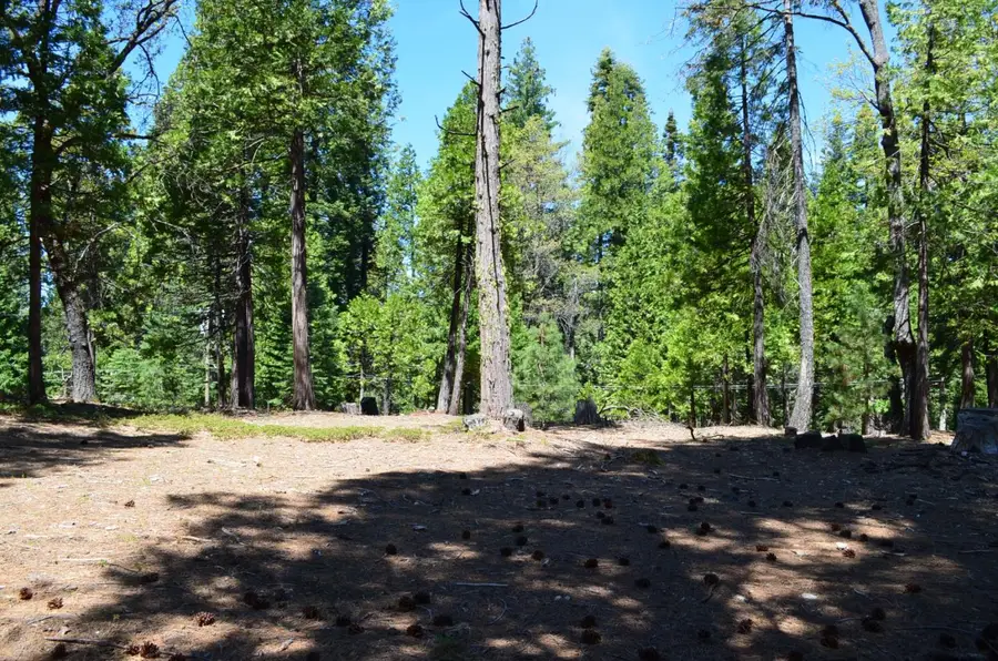 3112 Apache Road, Dorrington, CA 95223 - #2