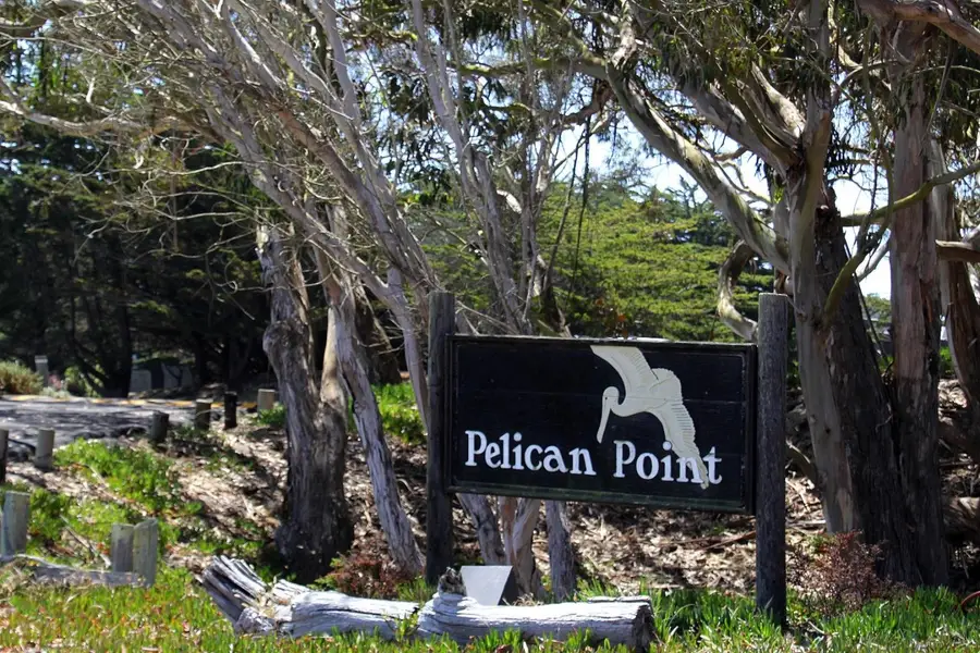 66 Pelican Point, Watsonville, CA 95076 - #3