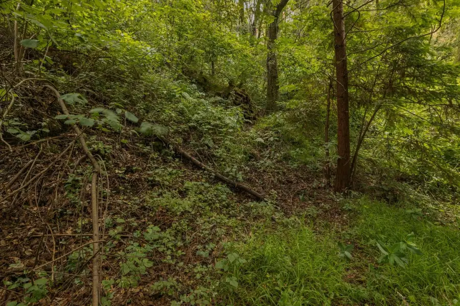 Lot 02 Cathedral Drive, Aptos, CA 95003 - #2