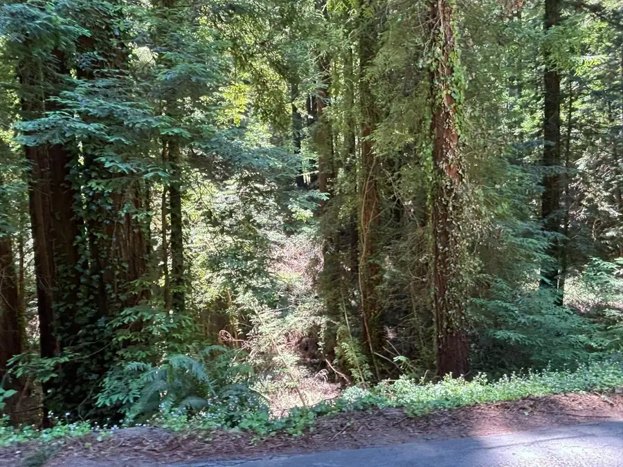 584 Hazel Dell Road, Corralitos, CA 95076 - Image #2