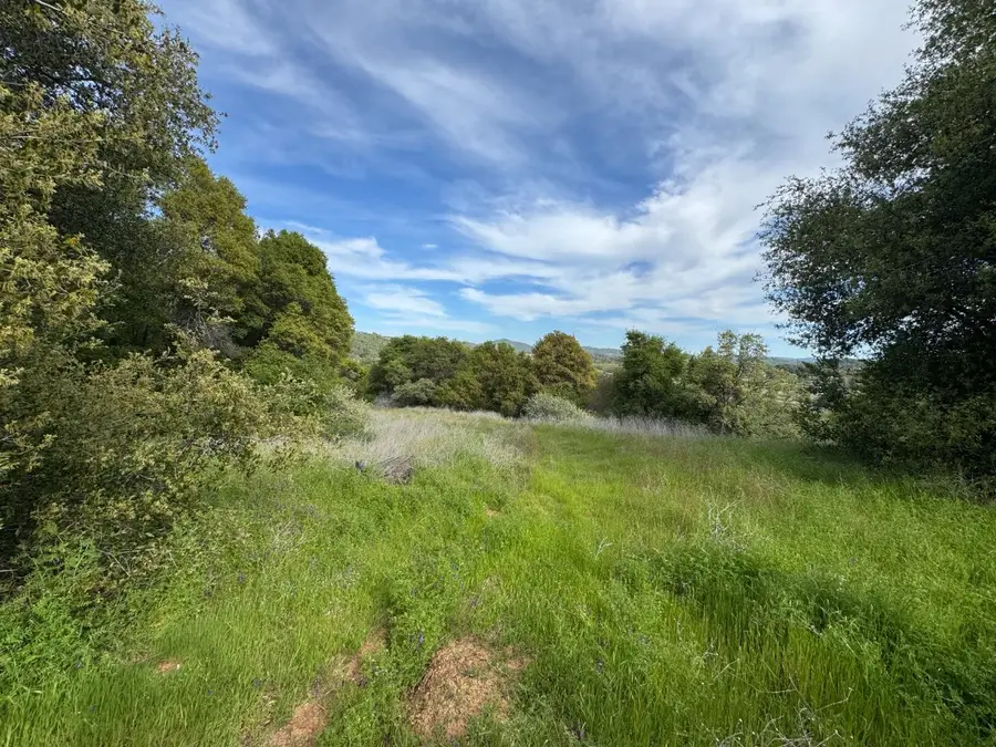 000 Cabezut Road, Sonora, CA 95370 - #3