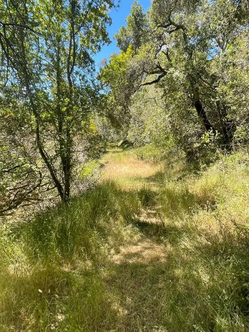 0 Crystal Springs Rd, Hillsborough, CA 94010 - #1