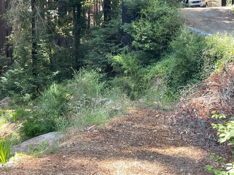 506 Sunset Road, Boulder Creek, CA 95006 - #3