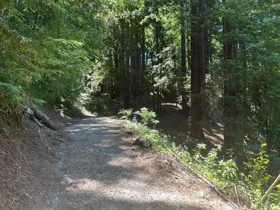 0000 Main Boulevard, Los Gatos, CA 95033 - #2