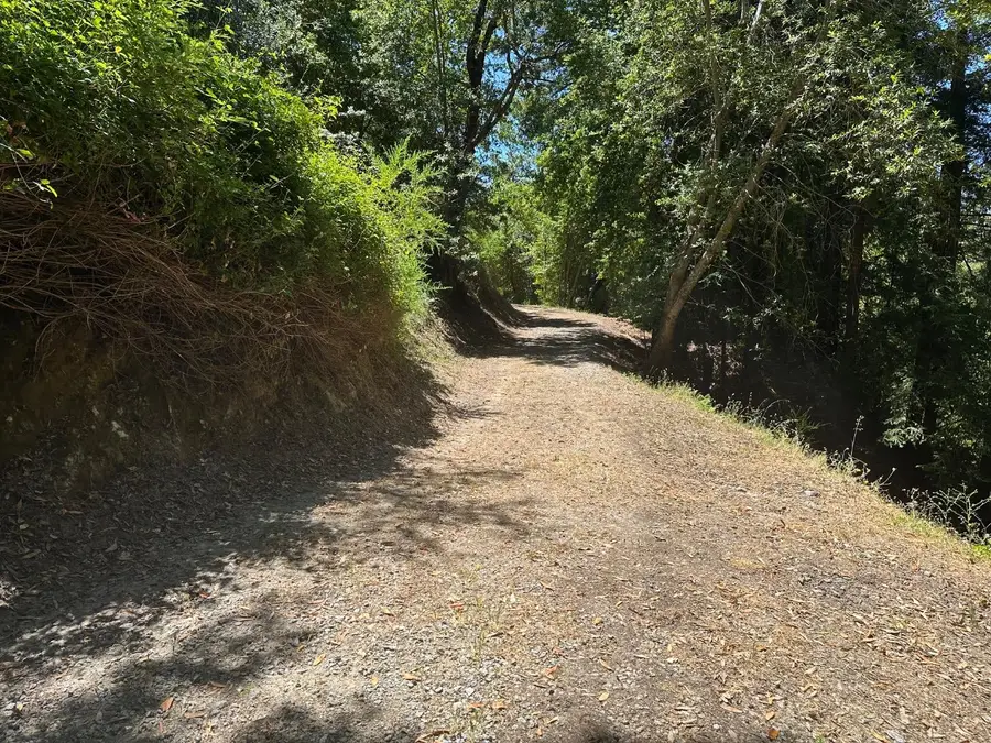 0000 Main Boulevard, Los Gatos, CA 95033 - #3