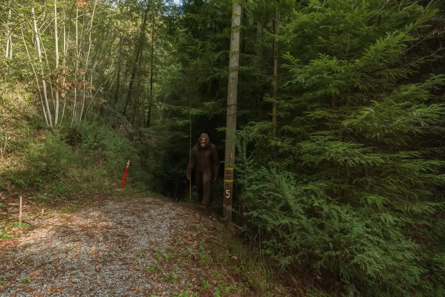 Lot 18 Antler Street, Felton, CA 95018 - #2