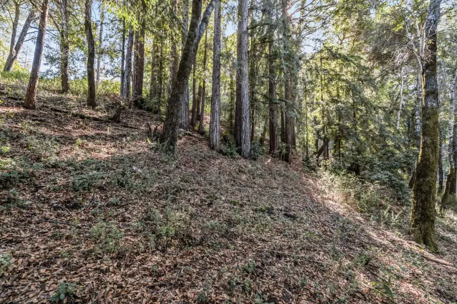 Lot 11 Volver Avenue, Felton, CA 95018 - #2