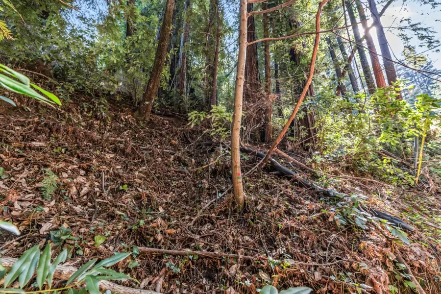 Lot 28 La Lena Street, Felton, CA 95018 - #2