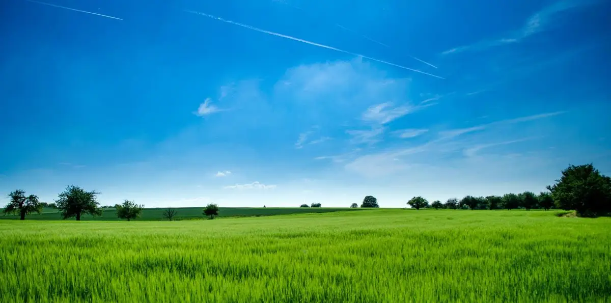 10868 Dougherty Avenue, Morgan Hill, CA 95037 - Image #1