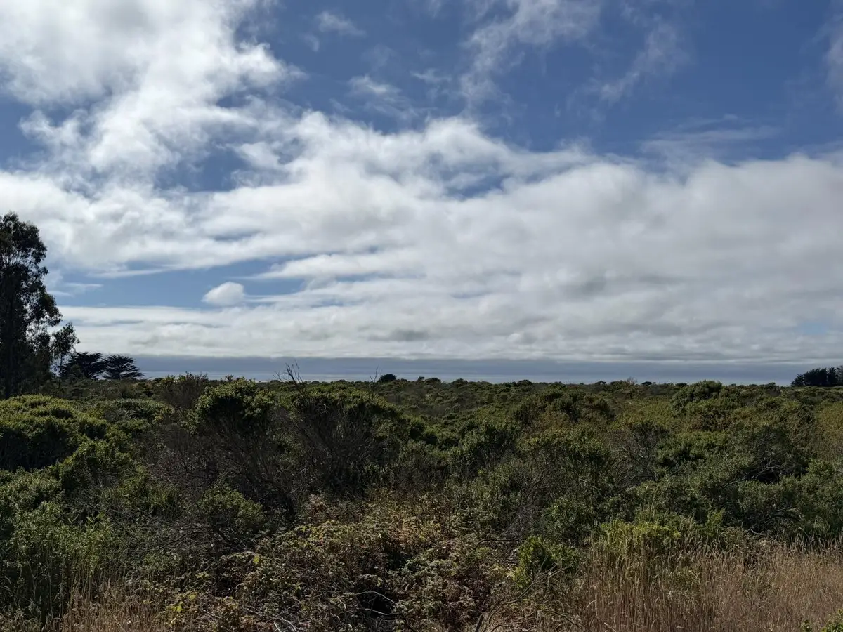 000 Bonita Ave., Half Moon Bay, CA 94019 - #1