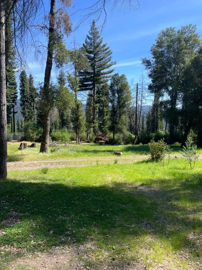 500 Wildberry Drive, Boulder Creek, CA 95006 - #1