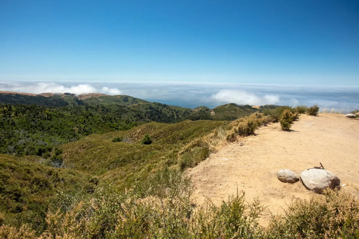 38805 Palo Colorado Road, Carmel, CA 93923 - #1